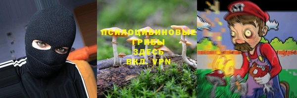 шишки Белокуриха