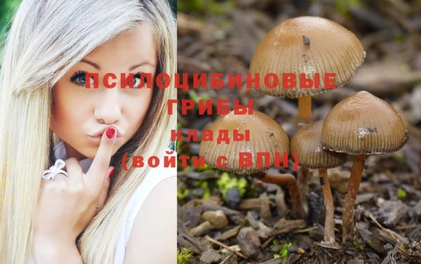 хмурый Богородск