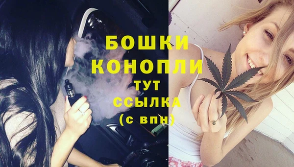 хмурый Богородск