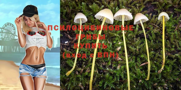 сатива Богородицк
