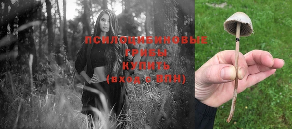 хмурый Богородск