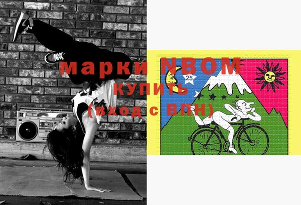 хмурый Богородск