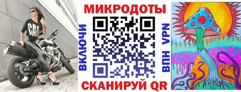 Галлюциногенные грибы Psilocybine cubensis Надым