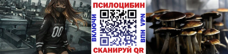 mega рабочий сайт  Надым  Псилоцибиновые грибы Psilocybe 